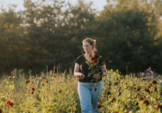 FERME FLORALE LES SINGULIÈRES