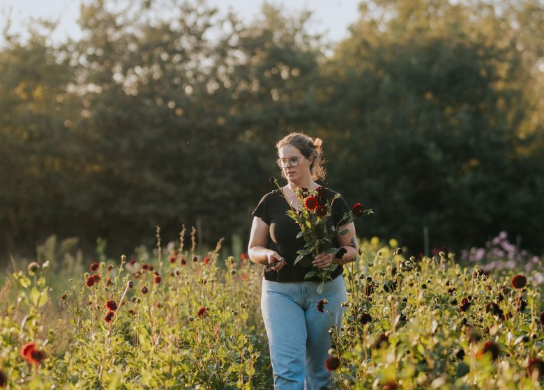 FERME FLORALE LES SINGULIÈRES