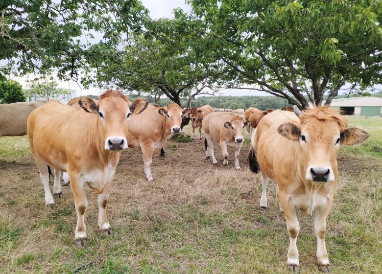 BEZOEKEN VAN DE PRODUCENTEN – BOERDERIJ CALIMÉROS