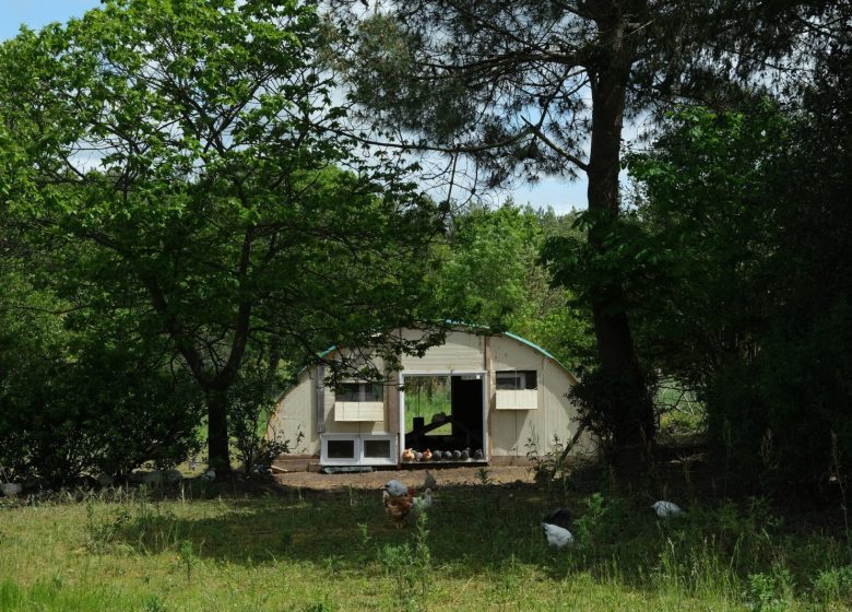 KLEINE FEDERN-FARM