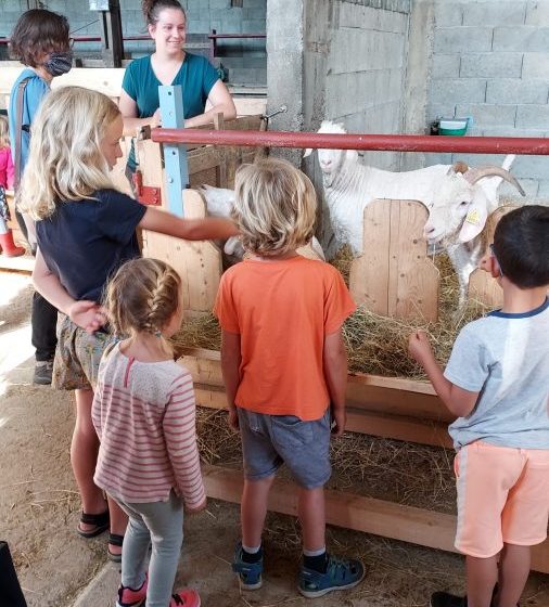 Visites producteurs – Mohair des Quatre Saisons