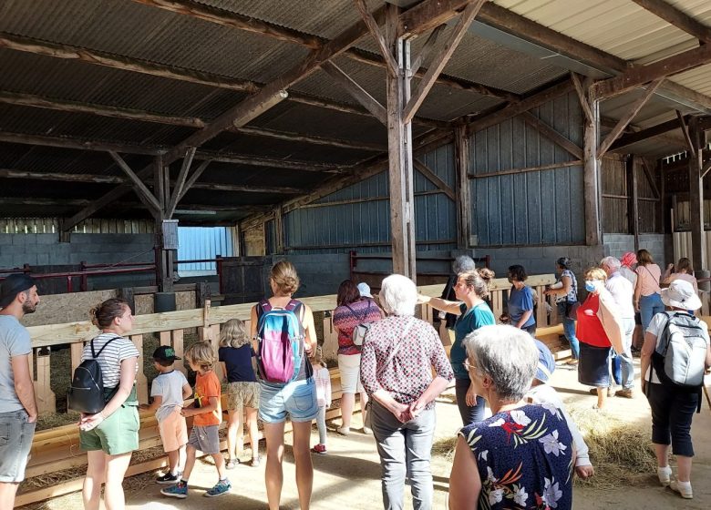 Visites producteurs – Mohair des Quatre Saisons