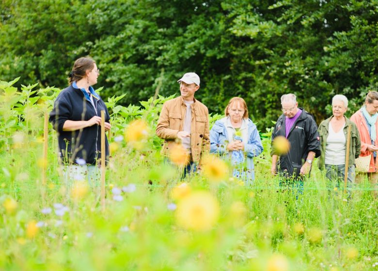 Visites producteurs – Ferme florale Les Singulières