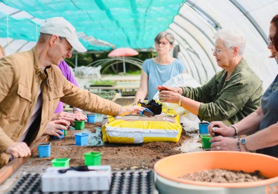 Visites producteurs – Ferme florale Les Singulières