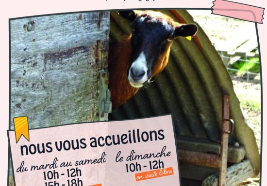 Le Potager des Z’Animaux