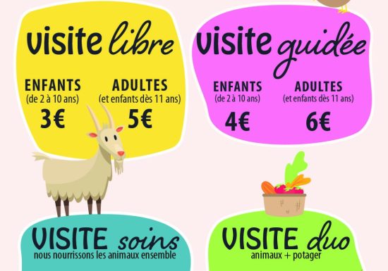 Le Potager des Z’Animaux