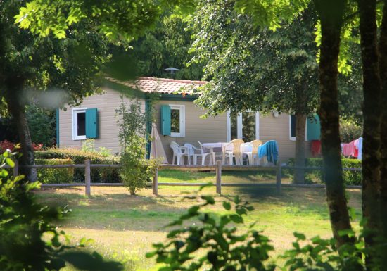 Chalet Libellule