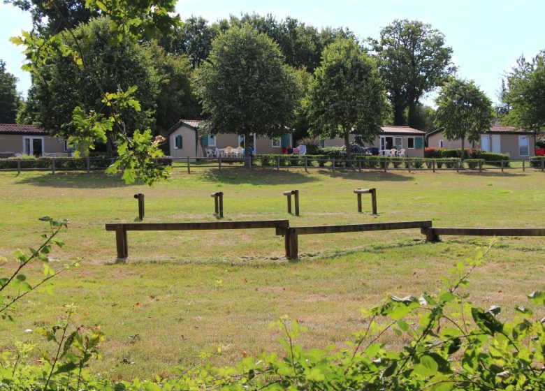 Chalet Libellule