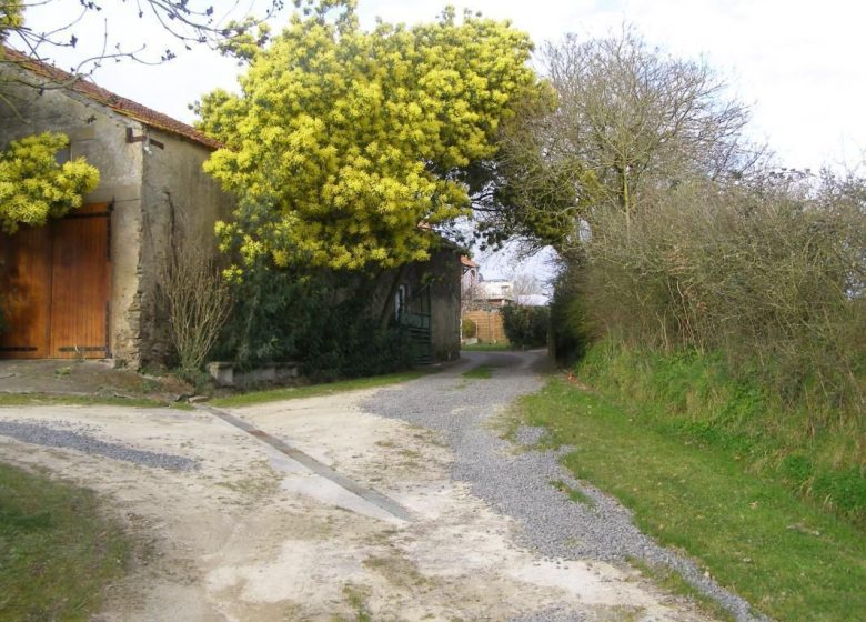 Large cottage for 9 people