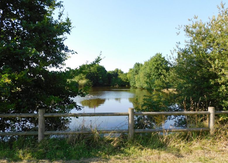 Grand gîte de 9 personnes