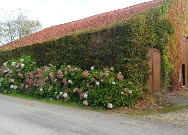 Small cottage for 3 people