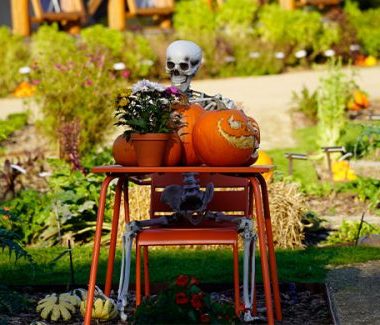 Pas si trouille que ça ! Halloween au Potager Extraordinaire