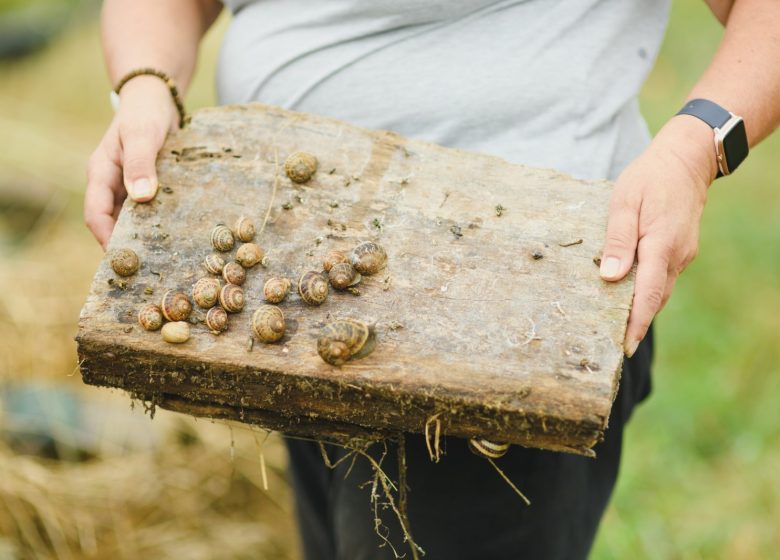 Visites producteurs – Hélix Gourmet