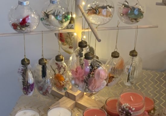 LE GRIMOIRE DE MOON GAÏA