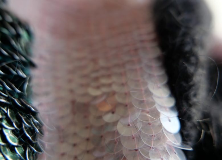 Développement de projets de broderie personnels / Apprentissage du crochet de Luneville