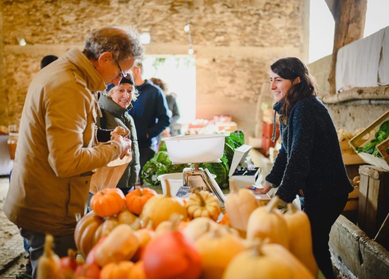 LE POTAGER DU CHÂTEAU