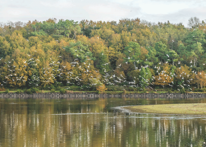 LAC DU JAUNAY – RIVE DROITE