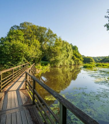 PASSERELLE OBSERVATOIRE DU LAC DU JAUNAY