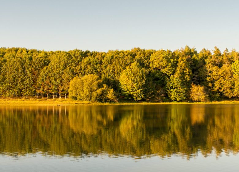 GR364, VON POITOU ZUM MEER IN DER VENDÉE