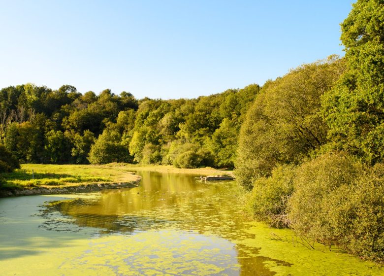 GR364, VAN POITOU NAAR DE OCEAAN IN VENDÉE