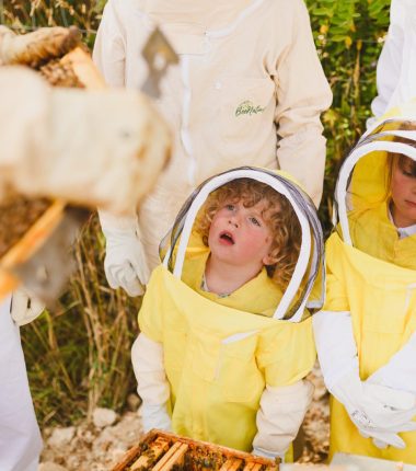 Visites producteurs – Apiculture, maraichage et ferme pédagogique