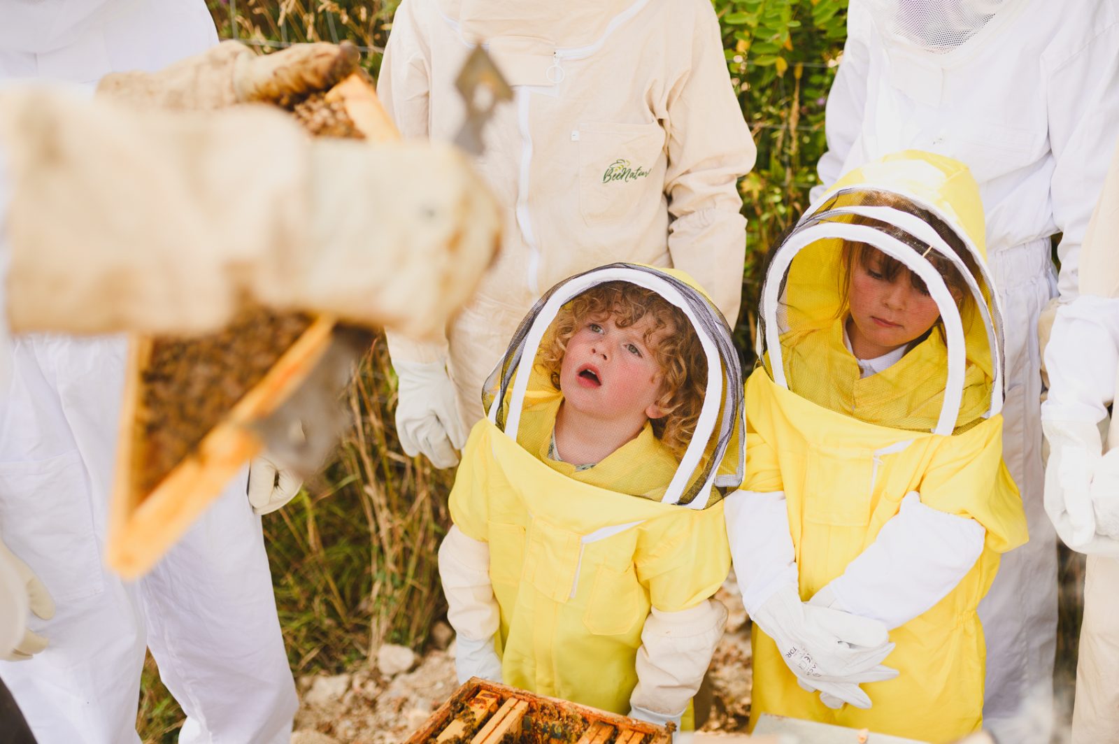 Visites producteurs – Apiculture, maraichage et ferme pédagogique