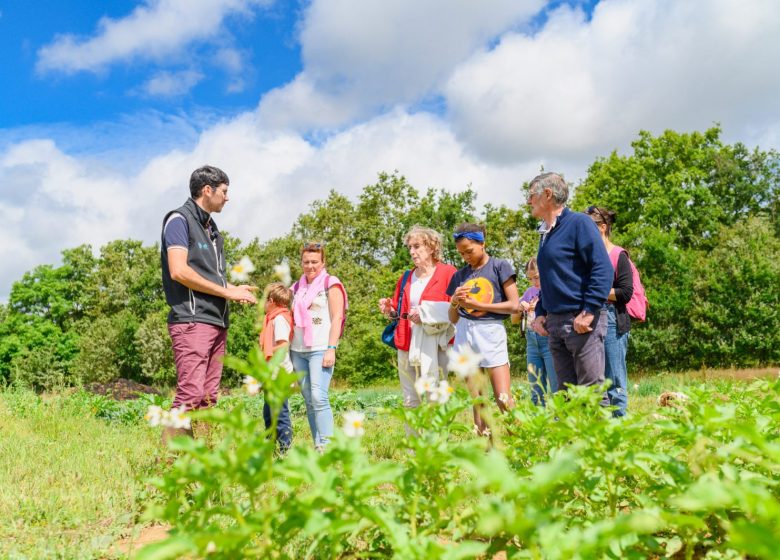 Visites producteurs – Apiculture, maraichage et ferme pédagogique