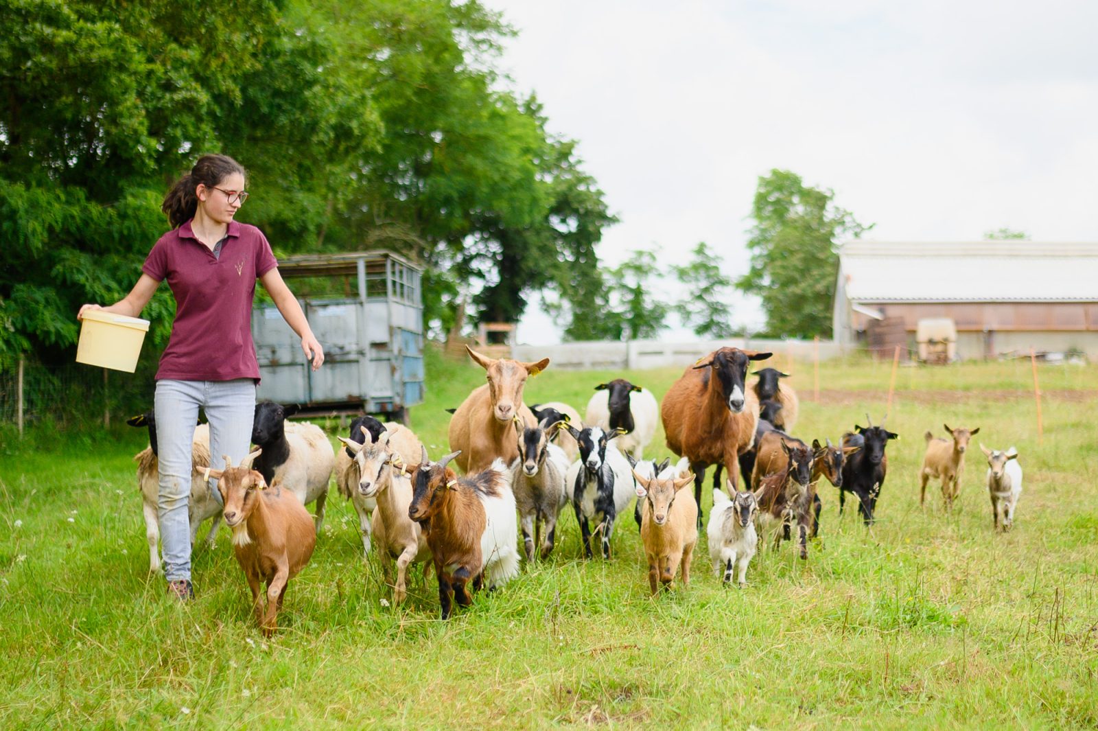 Le Potager des Z’Animaux
