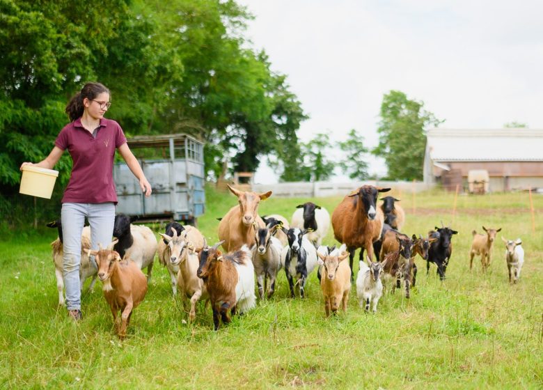 Portes ouvertes au Potager des Z&rsquo;Animaux