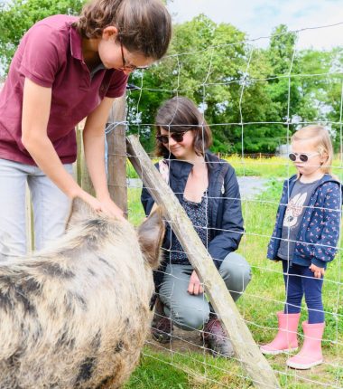 Animations de l&rsquo;été au Potager des Z&rsquo;Animaux