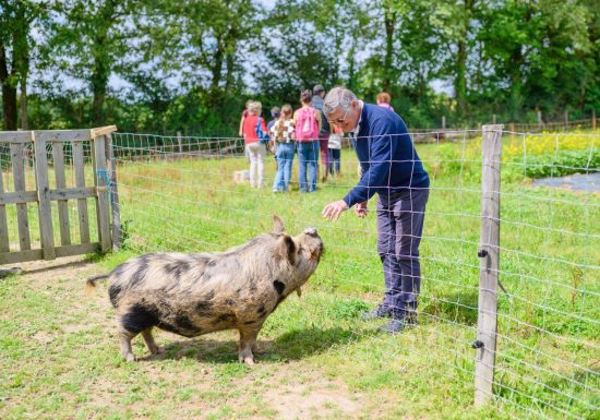 Le Potager des Z’Animaux