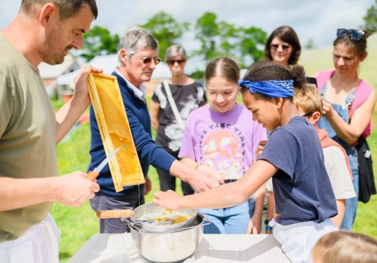 Visites producteurs – Apiculture, maraichage et ferme pédagogique