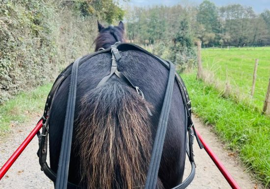 Domaine de La Thibaudière