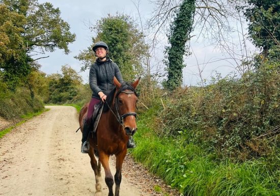 Vacances de Noël au Domaine de la Thibaudière