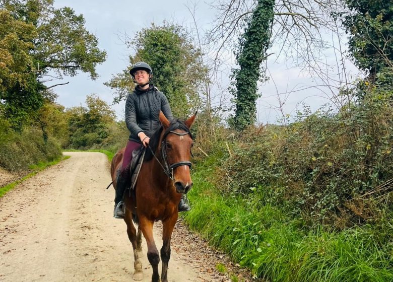 Vacances de Noël au Domaine de la Thibaudière