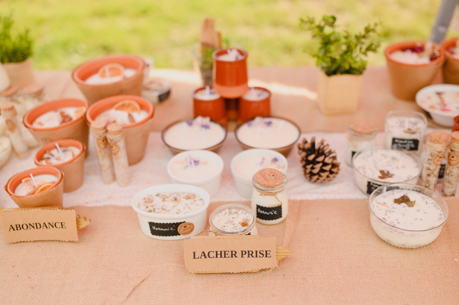 LE GRIMOIRE DE MOON GAÏA