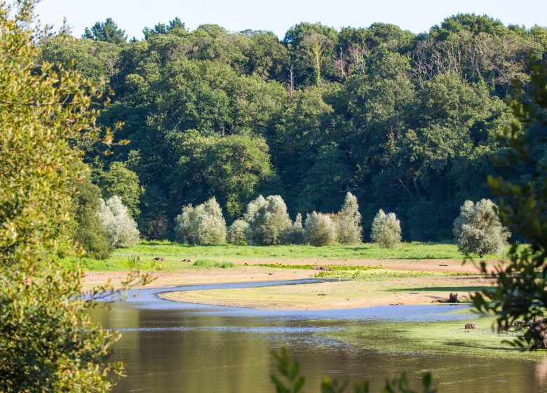 LAKE DU JAUNAY OBSERVATORIUMWANDELING