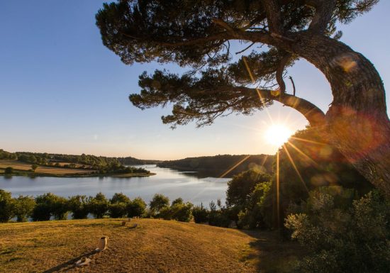 GR364, du Poitou à l’Océan en Vendée