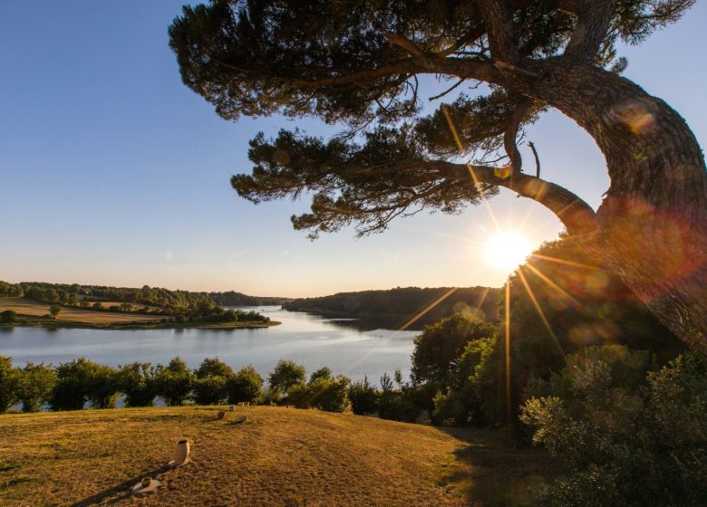 GR364, FROM POITOU TO THE OCEAN IN VENDÉE