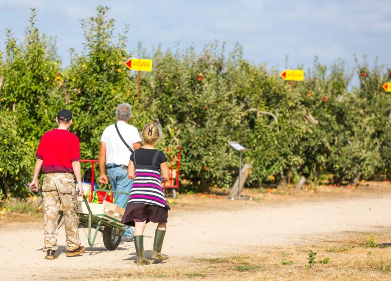 Visites producteurs – Les Vergers de la Malvergne