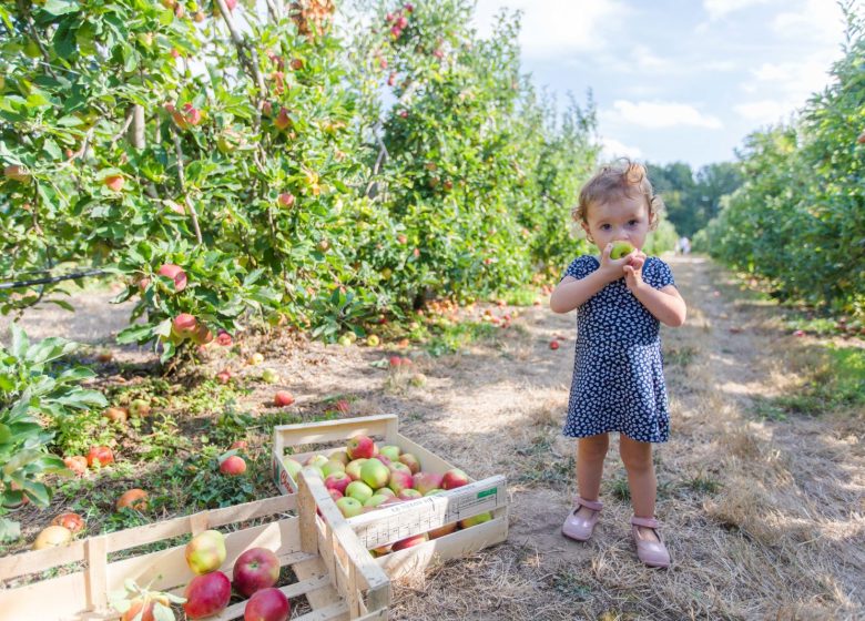 Visites producteurs – Les Vergers de la Malvergne