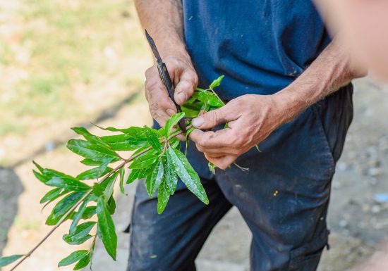 L’OASIS DE MATHIEU