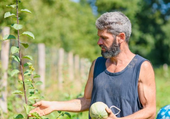 L’OASIS DE MATHIEU