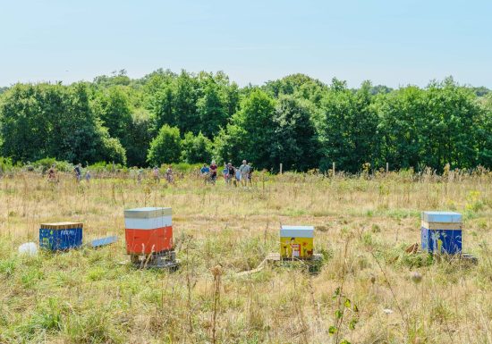 L’OASIS DE MATHIEU