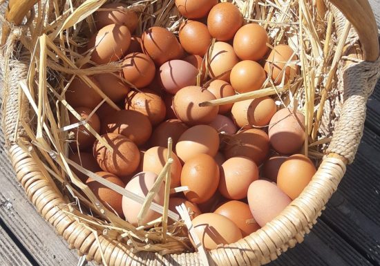 L’OASIS DE MATHIEU