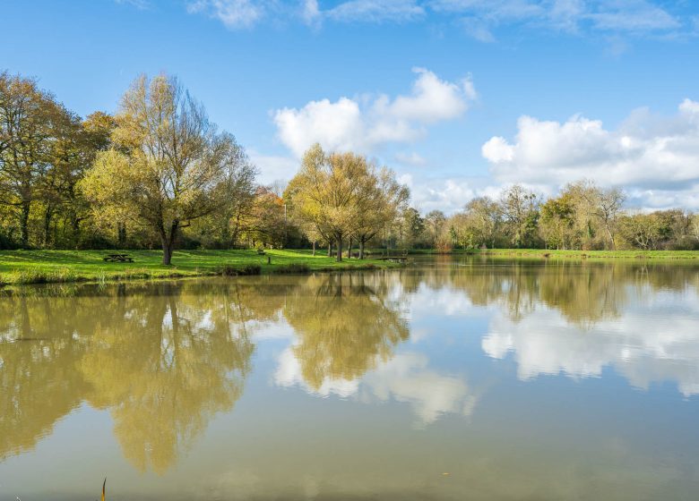 GR364, VAN POITOU NAAR DE OCEAAN IN VENDÉE