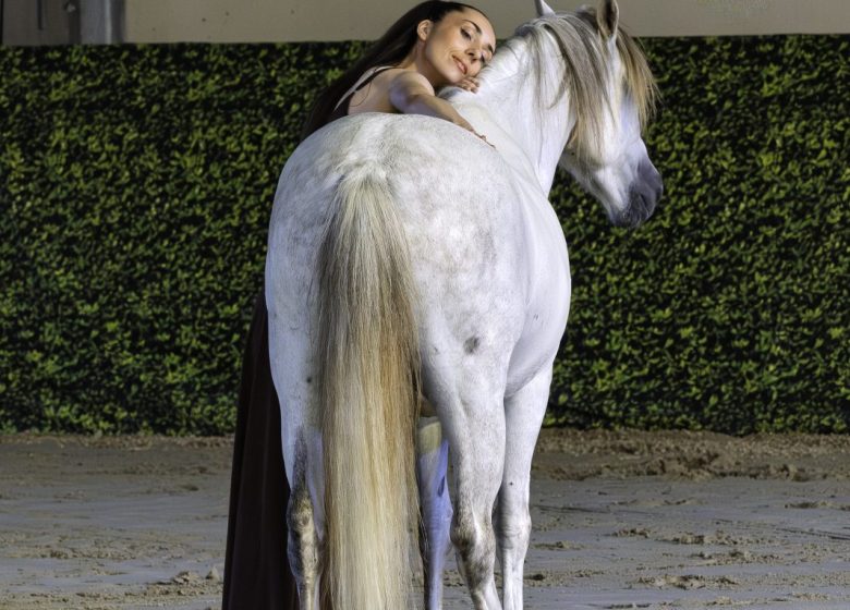 Les Écuries d&rsquo;Artpaillange