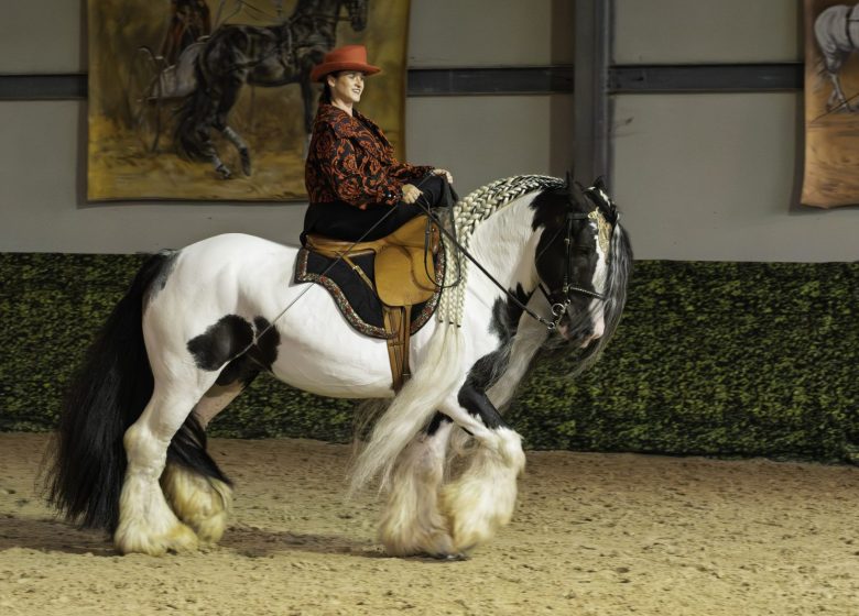 Les Écuries d&rsquo;Artpaillange