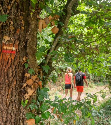 Randonnée pédestre et VTT Vendée Ukraine