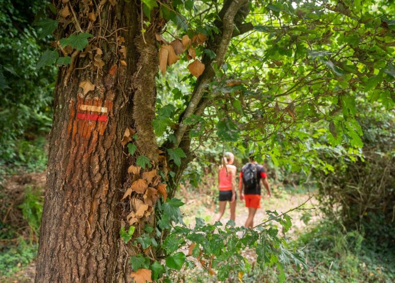 GR364, DU POITOU À L’OCÉAN EN VENDÉE